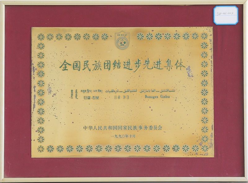 全国民族团结进步先进集体